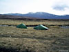 Wur tents