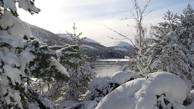 Snowy view near Loch an Eilein