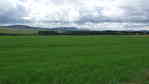 Big green field near Harlaw
