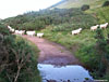 Heading back down again past the burn