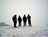 Dollywagon Pike Top