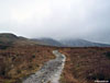 Looking up the long path to Ben Vorlich