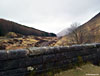 Crossing the railway just north of Tyndrum