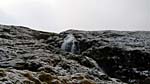 Allt nan Giubhas waterfall